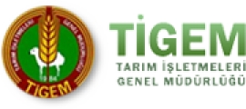 Zengin Tarm